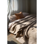 Cozy bed with beige blanket and pillow in a softly lit room