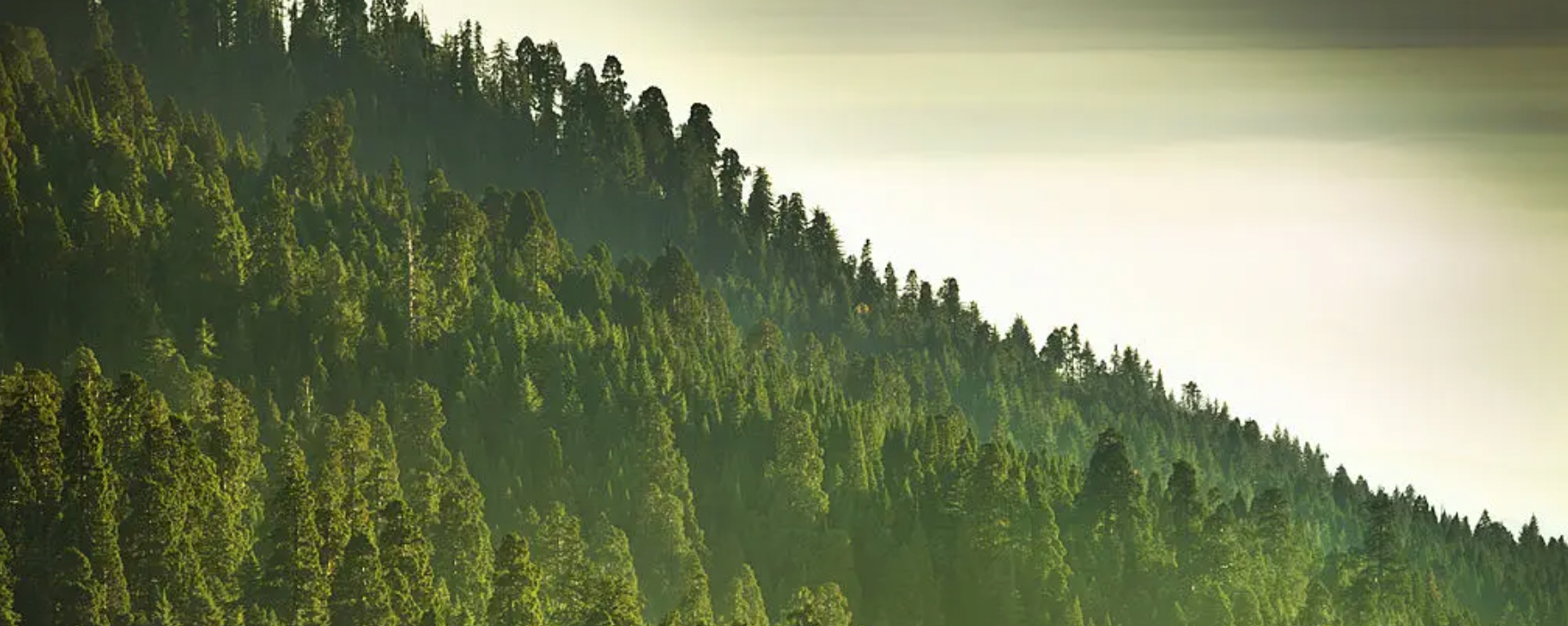 Putting 2023 to Bed in Style