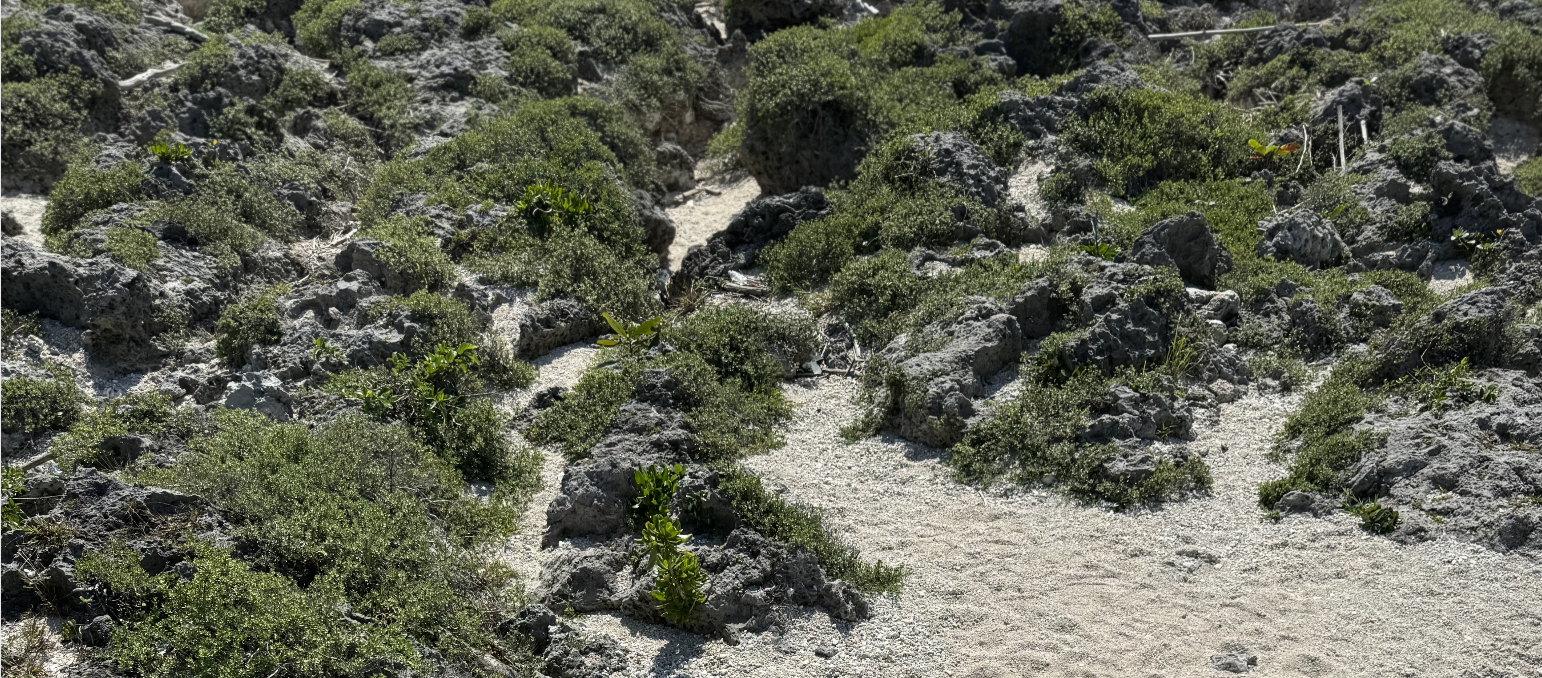 Meeting Sustainability Expectations in 2024